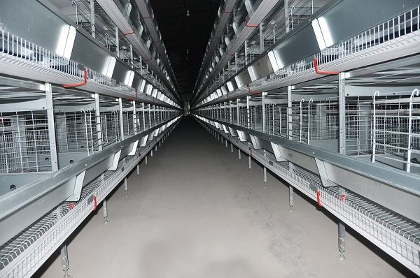 cage system