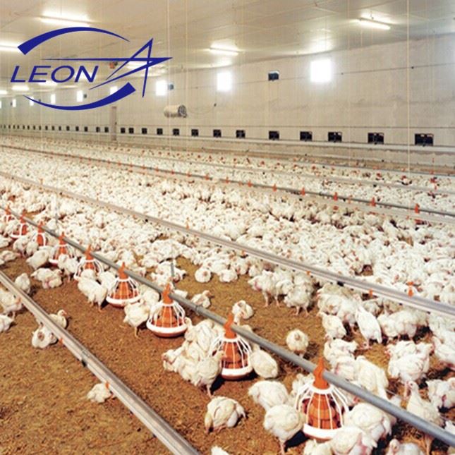 Air Inlet For Chicken House
