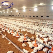 Automatyczny system podnoszenia podłogi brojlerów