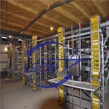 Automatyczna klatka drobia Equipmemt