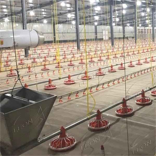 Leon Automatic Broiler Pan Feeding System Leon Automatic Broiler Pan Feeding System