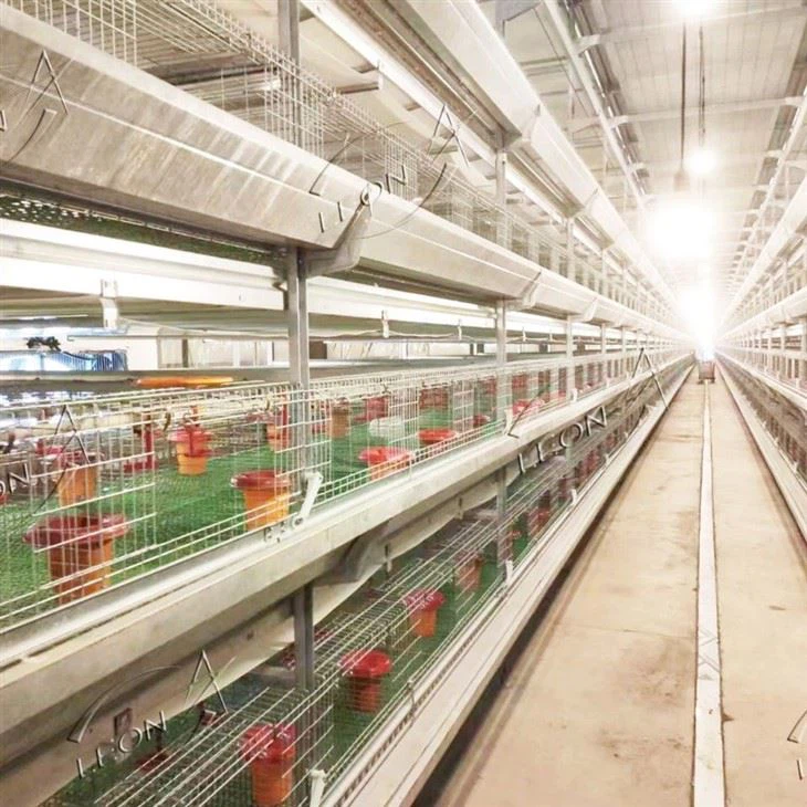 H Type Broilers Cage System H Type Broilers Cage System