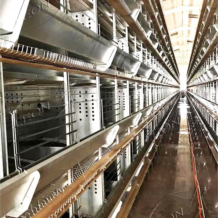 System klatki typu hodowli drobiu dla warstw